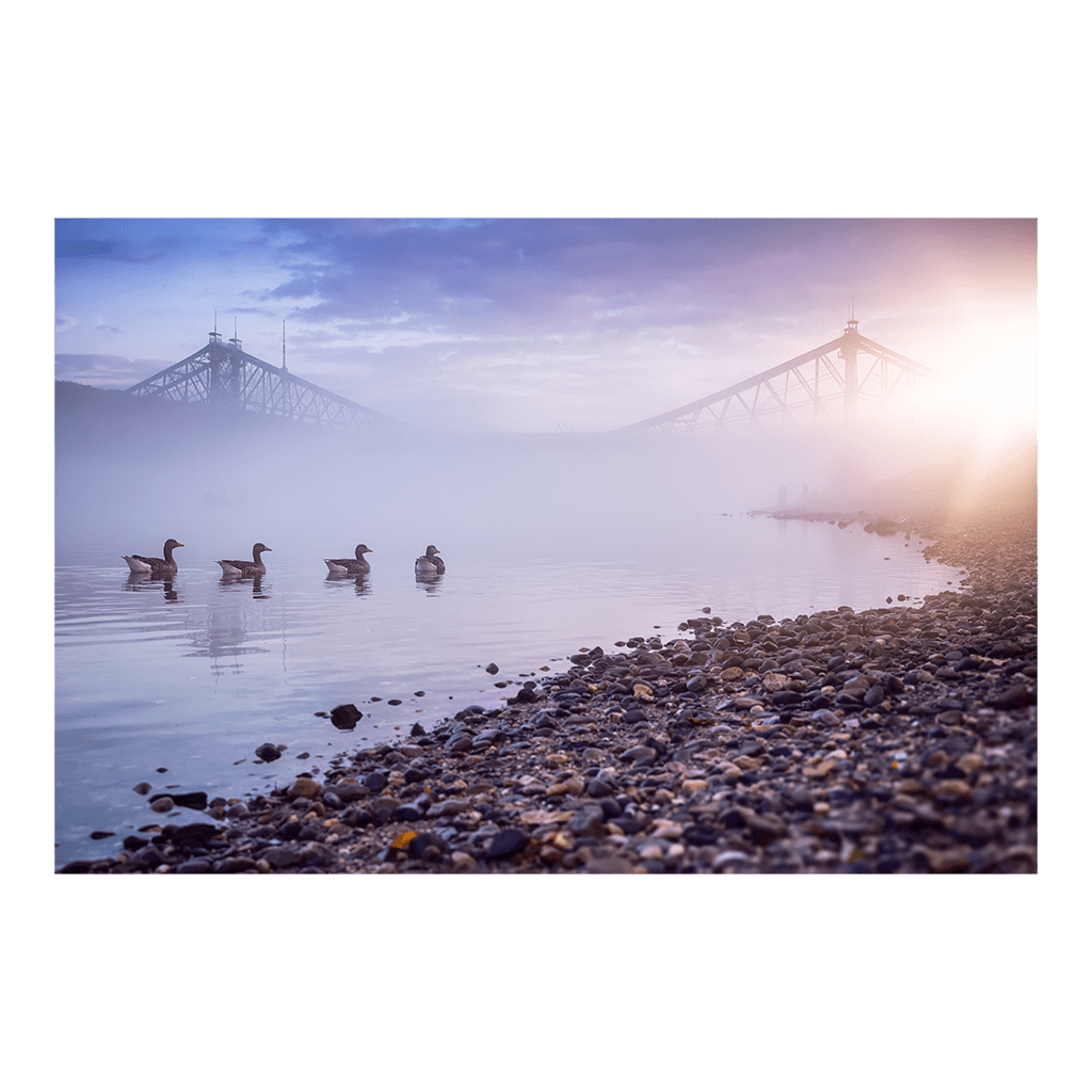 poster-00505-ddpix-de
