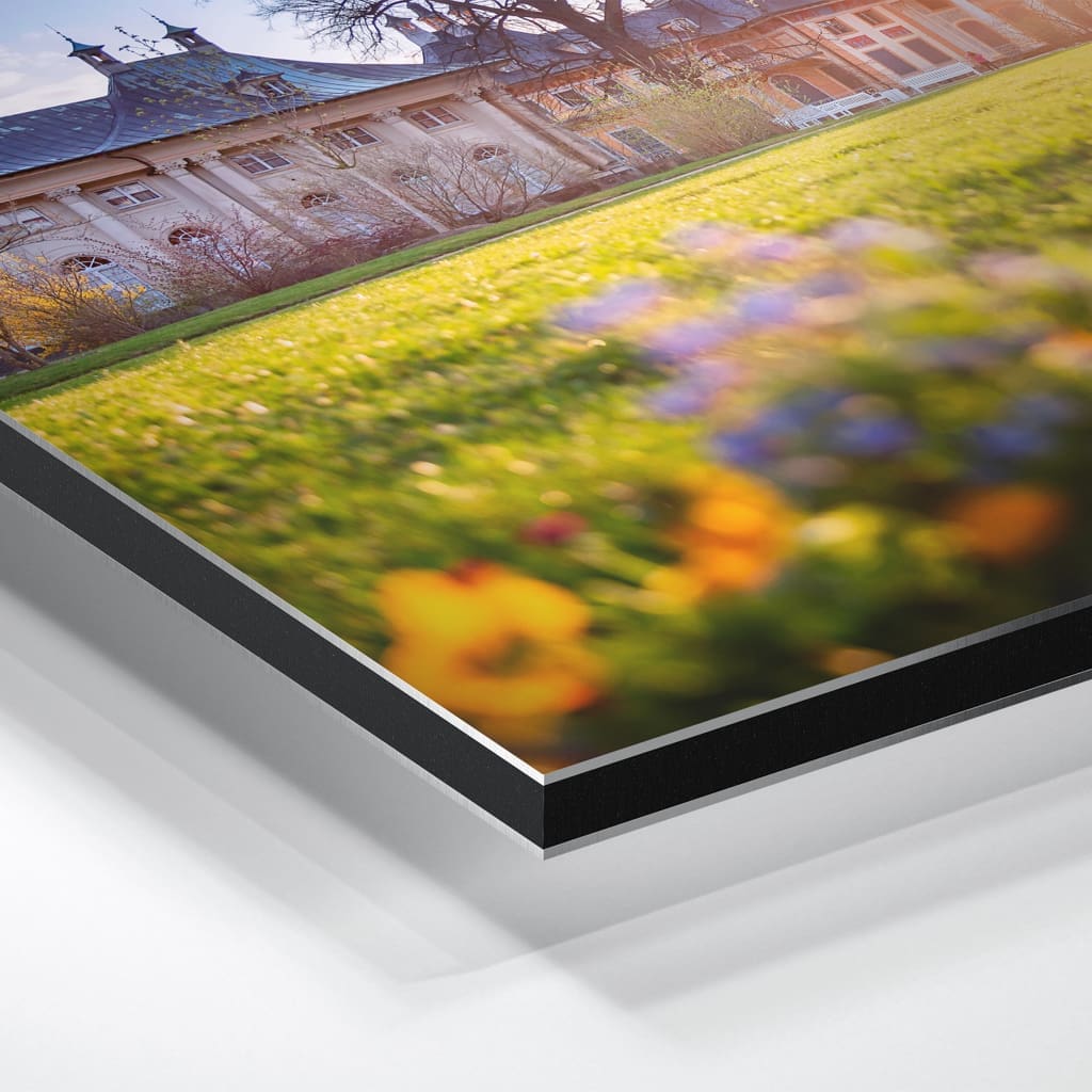 Alu-Dibond (00602) Schloss Pillnitz im Frühling – Bild 3