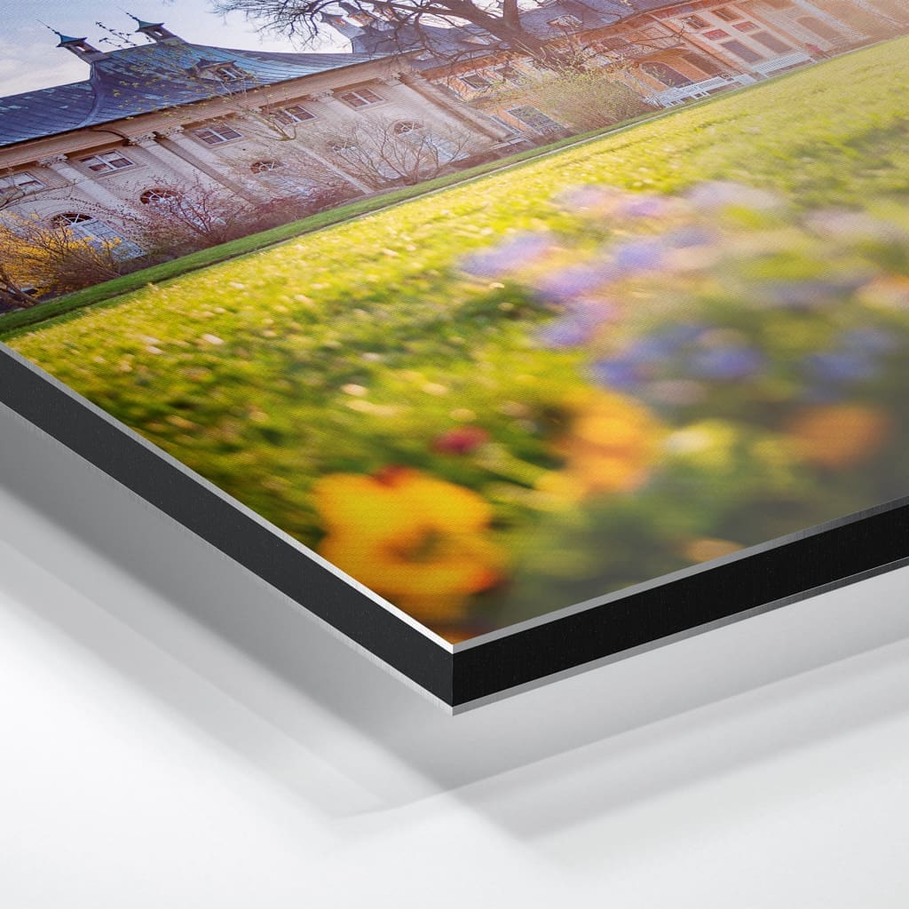 Alu-Dibond (00602) Schloss Pillnitz im Frühling – Bild 5
