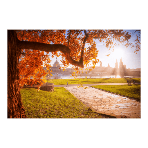 Acryl Board (00638) goldener Herbst in Dresden