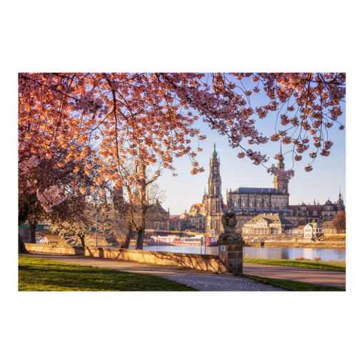 Acryl Board (00684) Dresden im Frühling