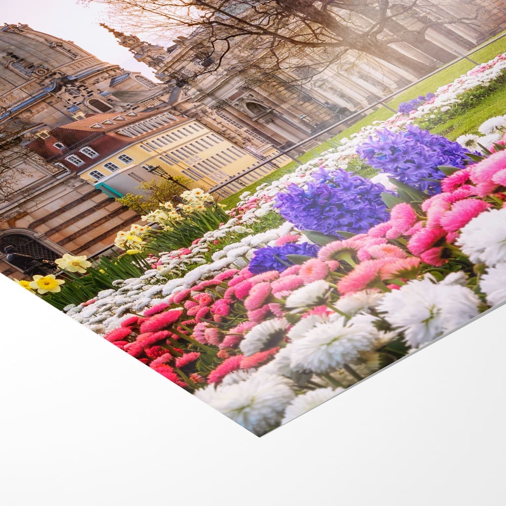 Poster (00689) Brühlscher Garten im Frühling – Bild 3