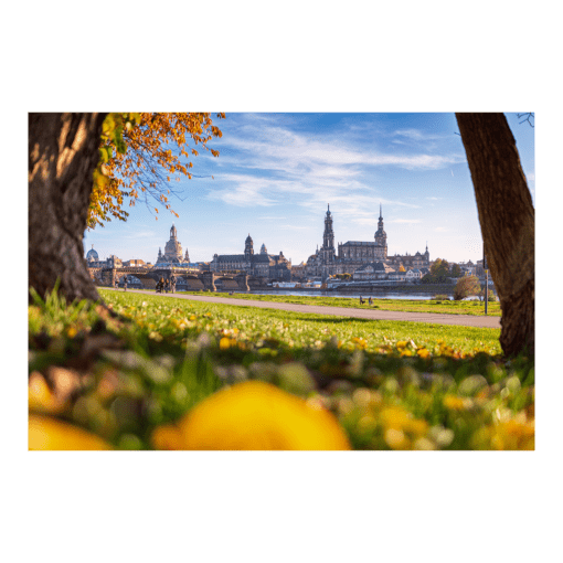 Alu-Dibond (00733) Dresden Skyline im Herbst