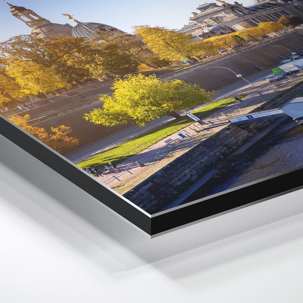 Alu-Dibond (00746) Dresden Skyline im Herbst – Bild 3