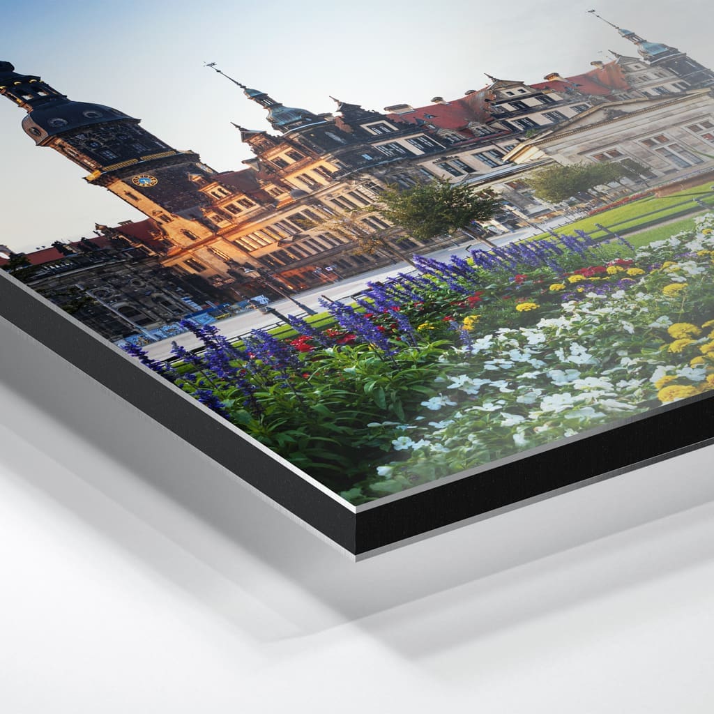 Alu-Dibond (00861) Sempergalerie am Morgen – Bild 4