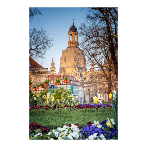 Leinwand (00912) Frühling an der Frauenkirche