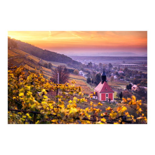 Poster (01019) Weinbergkirche im Herbst