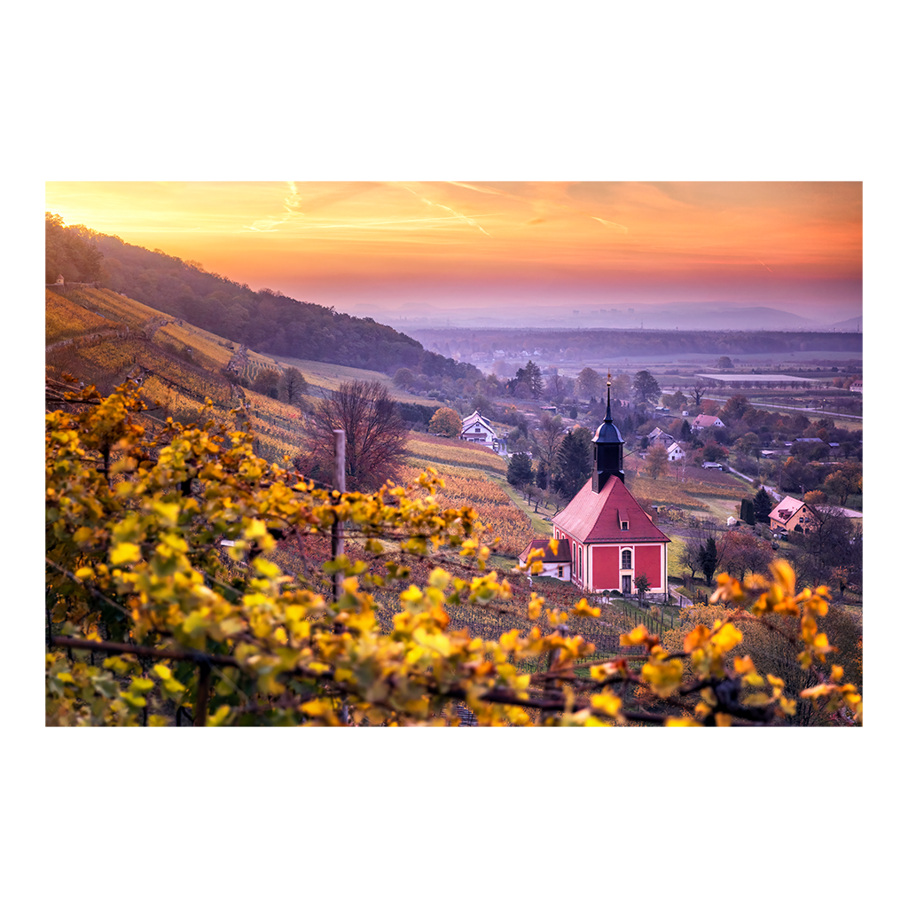 Alu-Dibond (01019) Weinbergkirche im Herbst