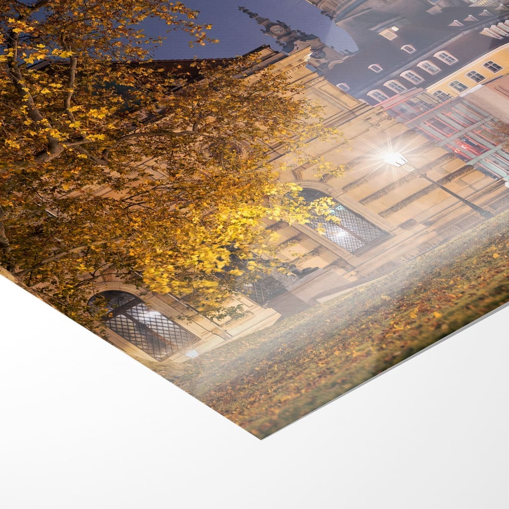Fotoabzug (01020) Brühlscher Garten im Herbst – Bild 5