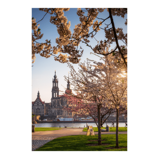 Leinwand (01040) Hofkirche im Frühling