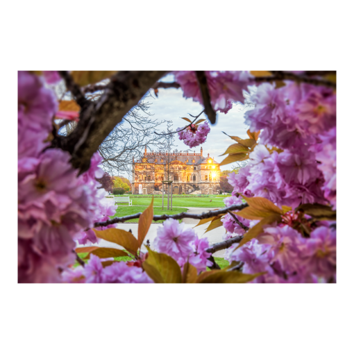 Poster (01057) Frühling am Palais