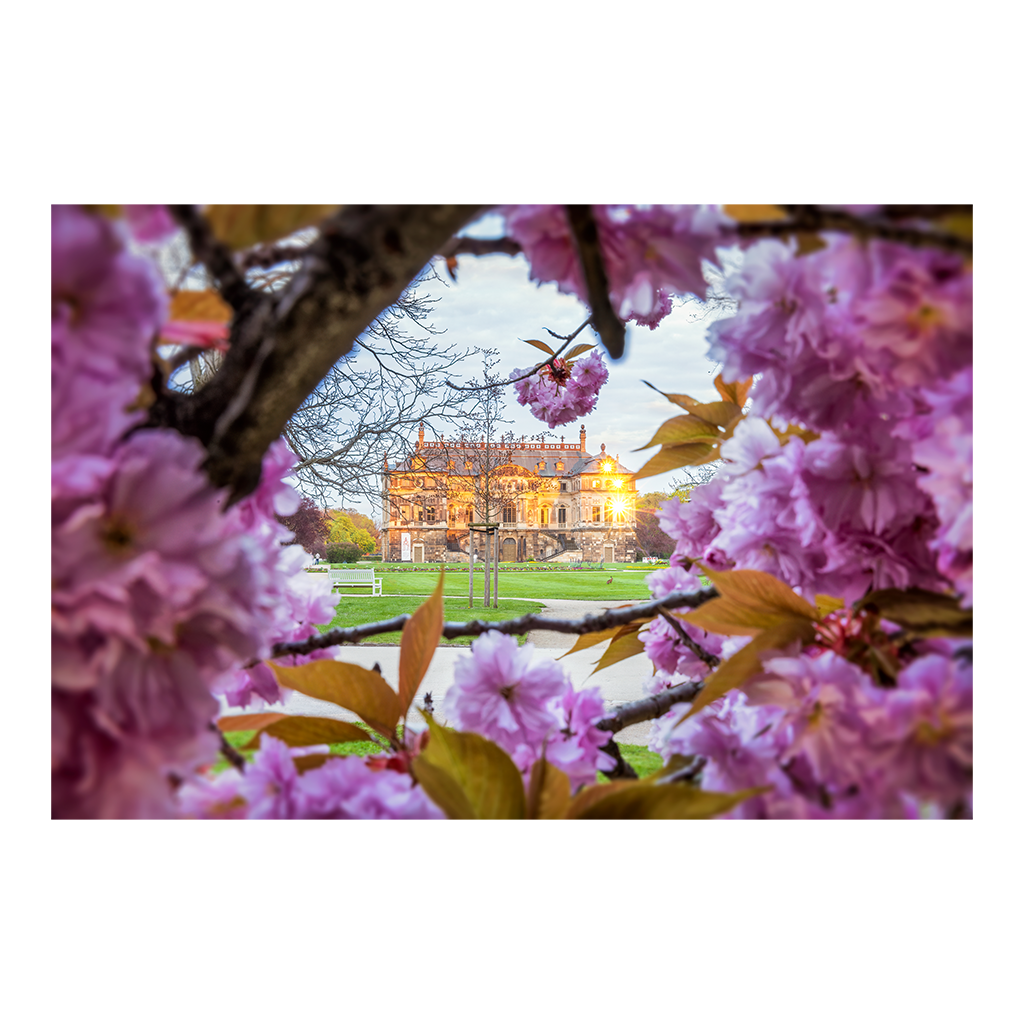 Fotoabzug (01057) Frühling am Palais