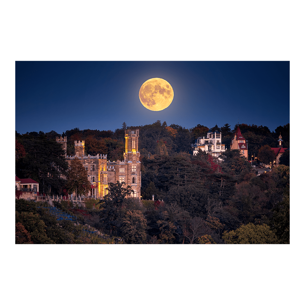 Leinwand (01137) Schloss Eckberg