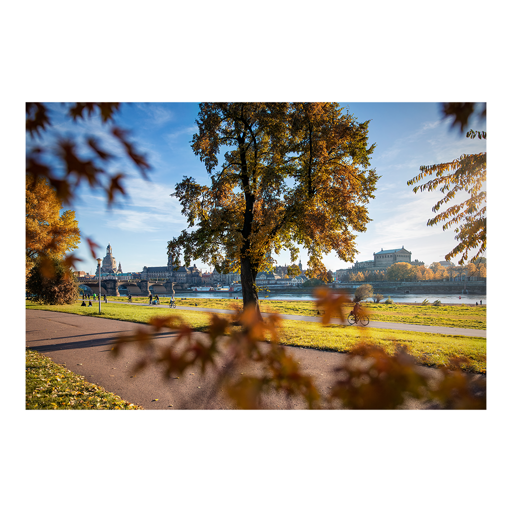 Poster (01139) Dresden im Herbst | ddpix.de