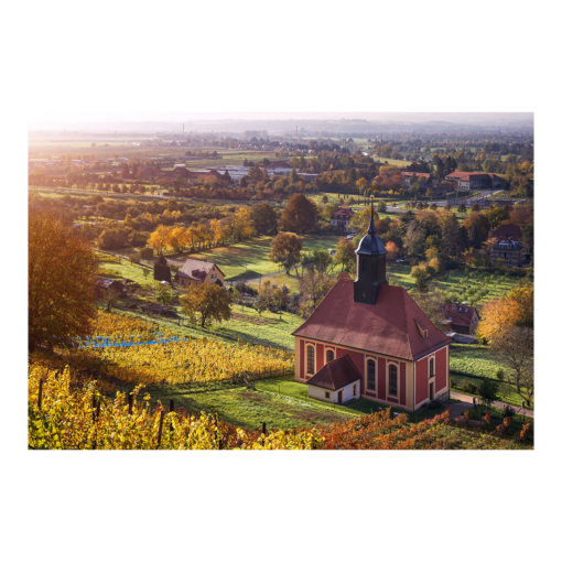 Leinwand (01148) Weinbergkirche
