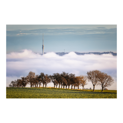 Leinwand (01161) Fernsehturm im Nebel