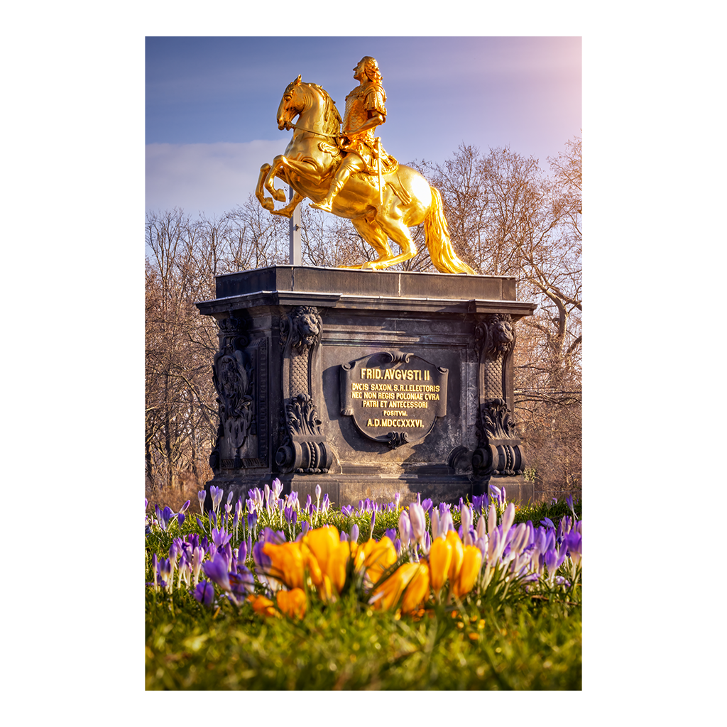 Fotoabzug (01179) Goldener Reiter