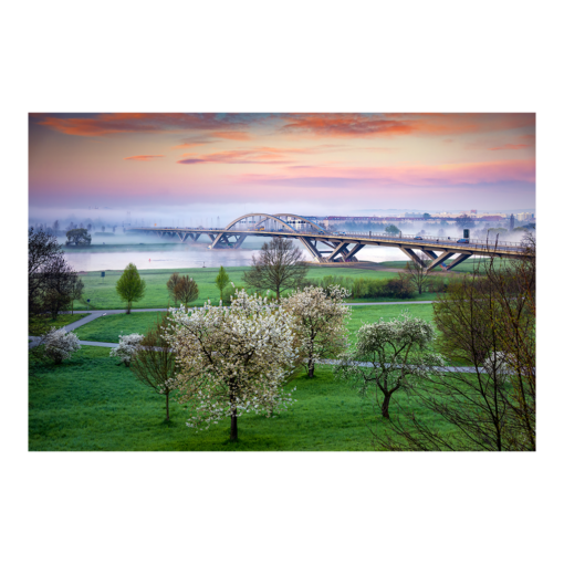 Poster (01213) Waldschlößchenbrücke