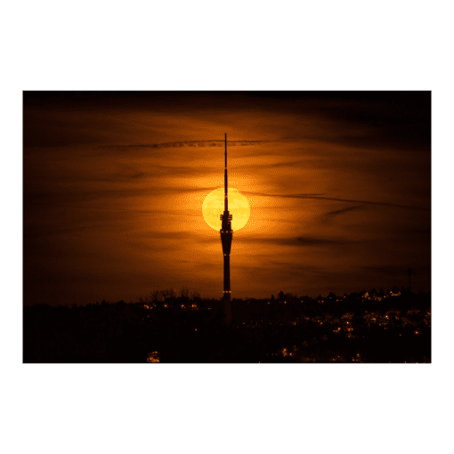 Poster (01310) Fernsehturm Dresden