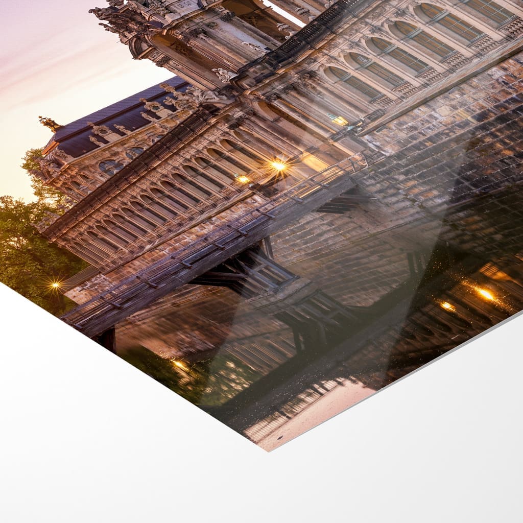 Poster (01339) Flieder am Dresdner Zwinger – Bild 5