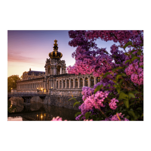 Poster (01339) Flieder am Dresdner Zwinger