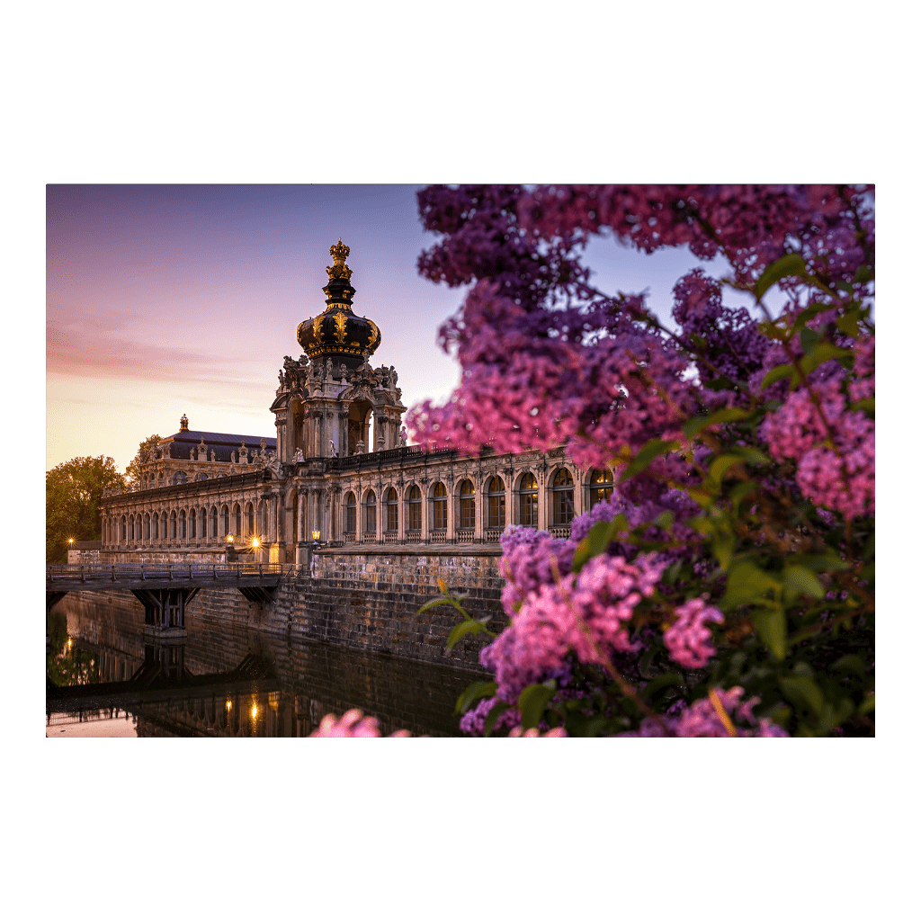 Poster (01339) Flieder am Dresdner Zwinger