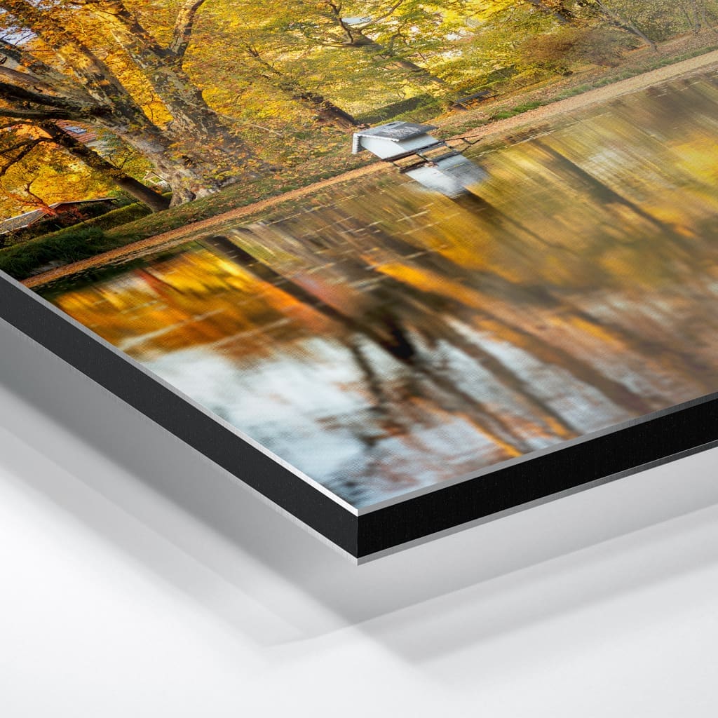 Alu-Dibond (01417) Englischer Pavillon in Pillnitz – Bild 5