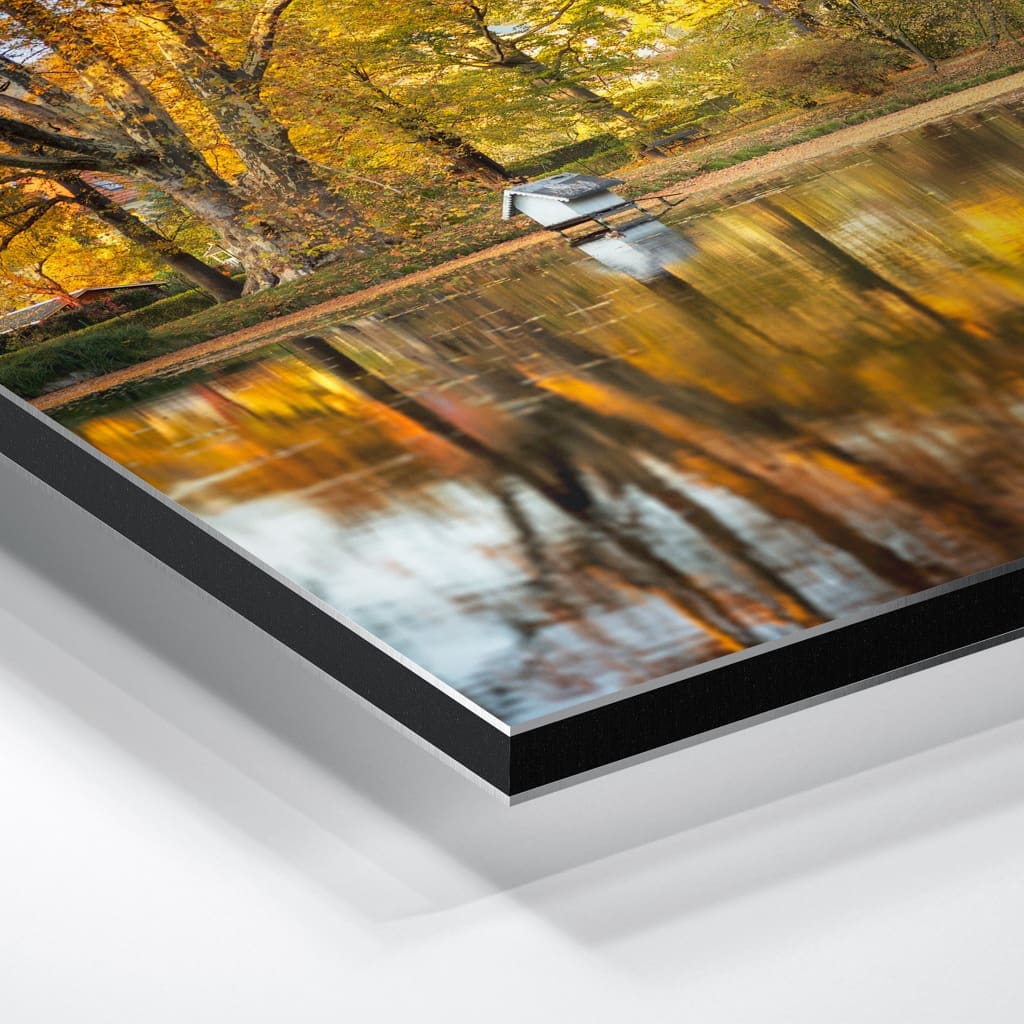 Alu-Dibond (01417) Englischer Pavillon in Pillnitz – Bild 6