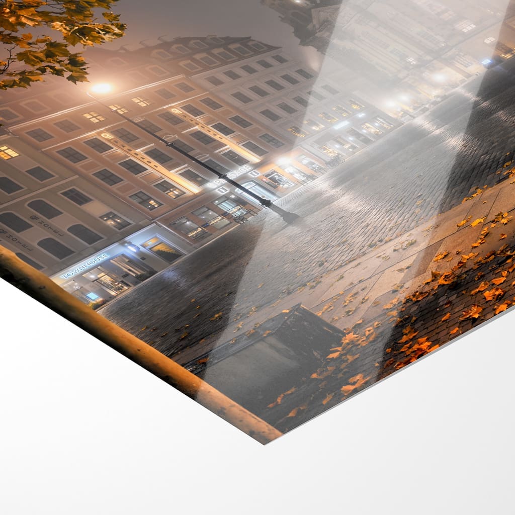 Poster (01424) Nebelabend am Neumarkt – Bild 2