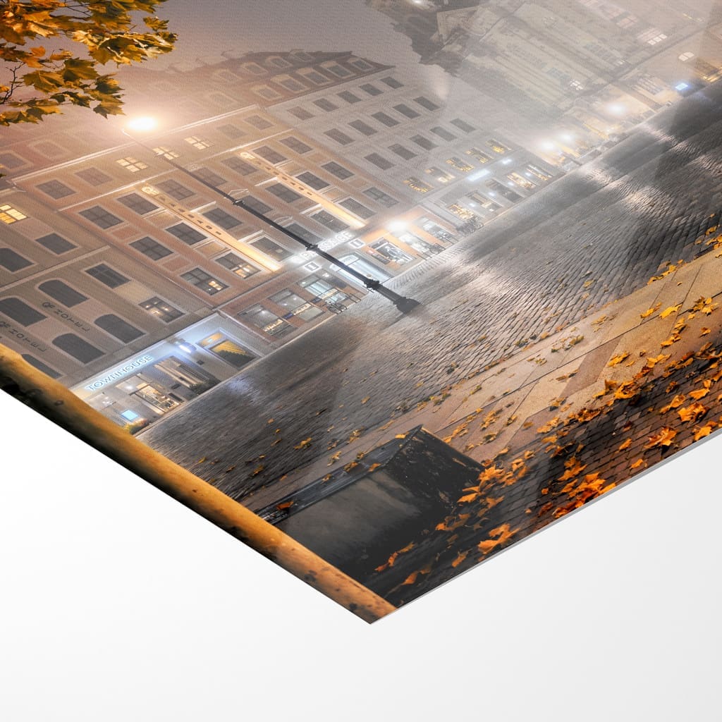 Poster (01424) Nebelabend am Neumarkt – Bild 5