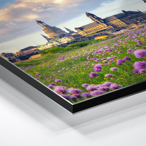 Alu-Dibond (01521) Dresdner Skyline zum Sonnenaufgang – Bild 3