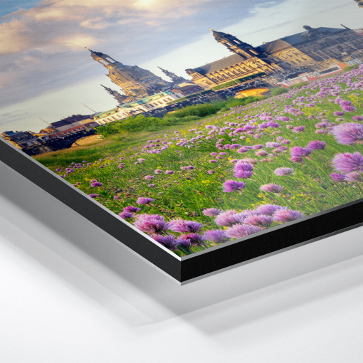 Alu-Dibond (01521) Dresdner Skyline zum Sonnenaufgang – Bild 5