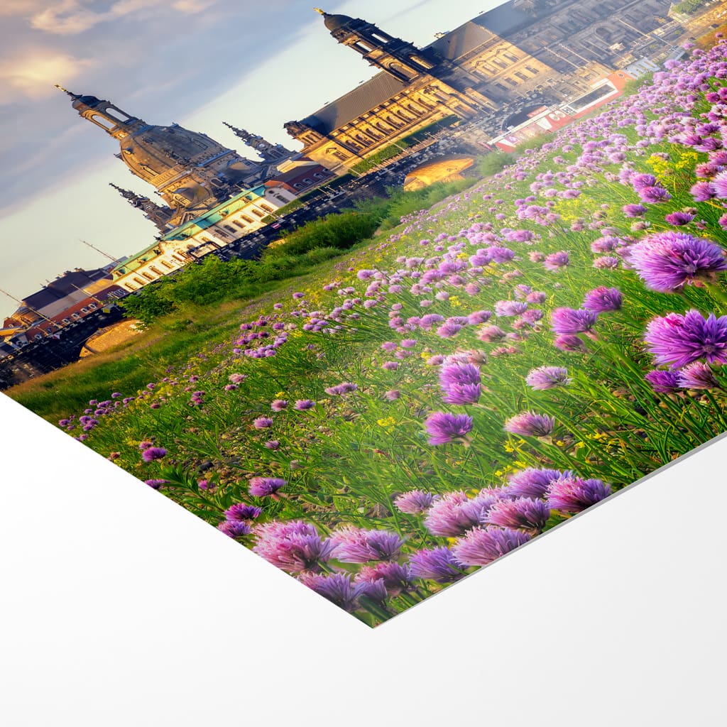 Poster (01521) Dresdner Skyline zum Sonnenaufgang – Bild 3