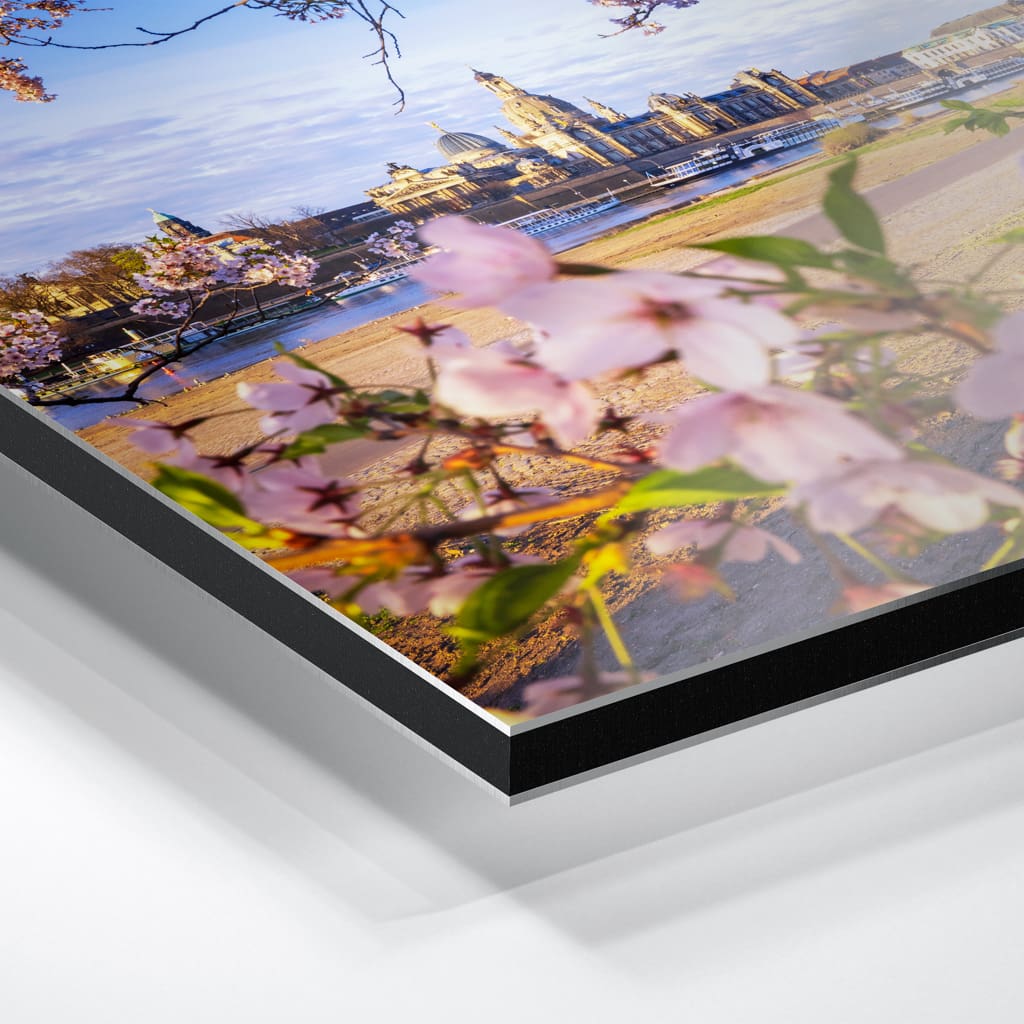 Alu-Dibond (01624) Skyline im Frühling – Bild 2