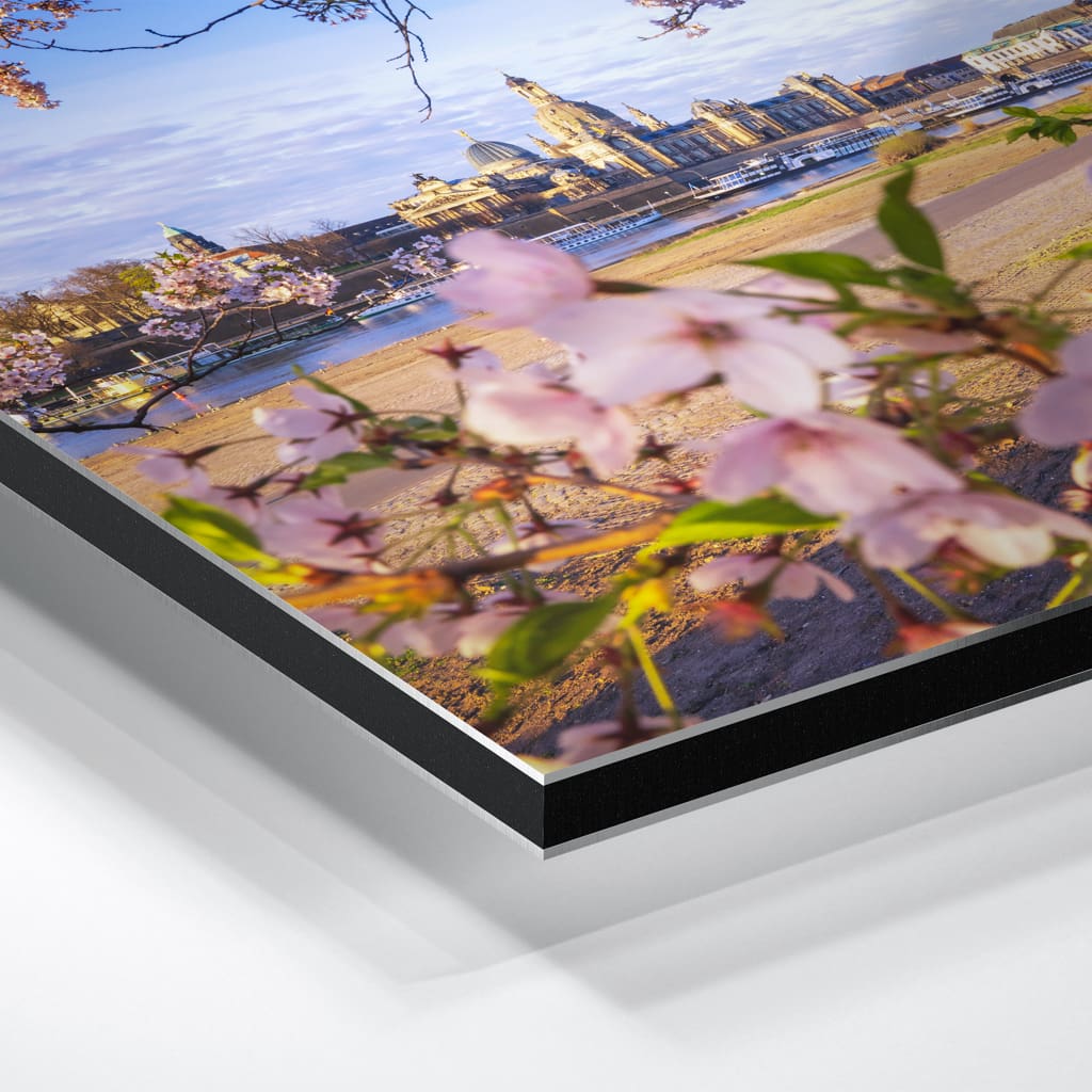 Alu-Dibond (01624) Skyline im Frühling – Bild 3