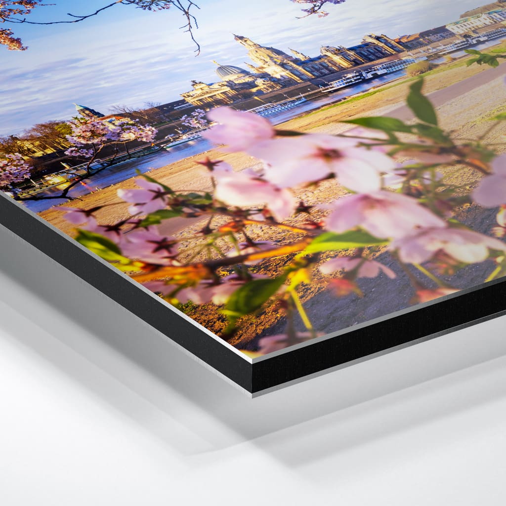Alu-Dibond (01624) Skyline im Frühling – Bild 4