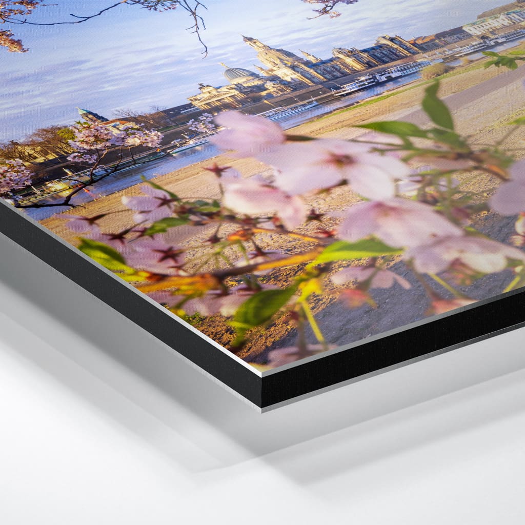 Alu-Dibond (01624) Skyline im Frühling – Bild 5