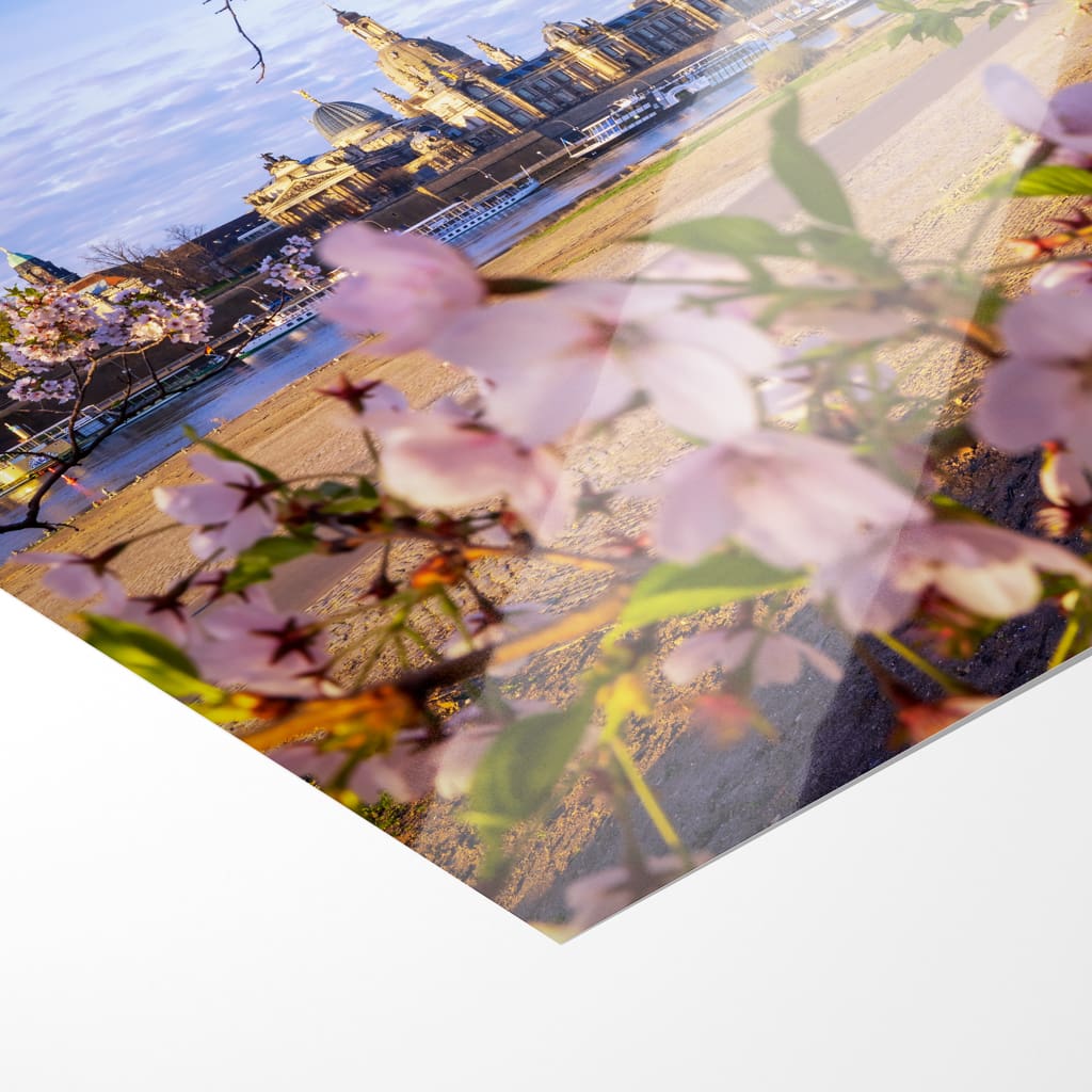 Fotoabzug (01624) Skyline im Frühling – Bild 2