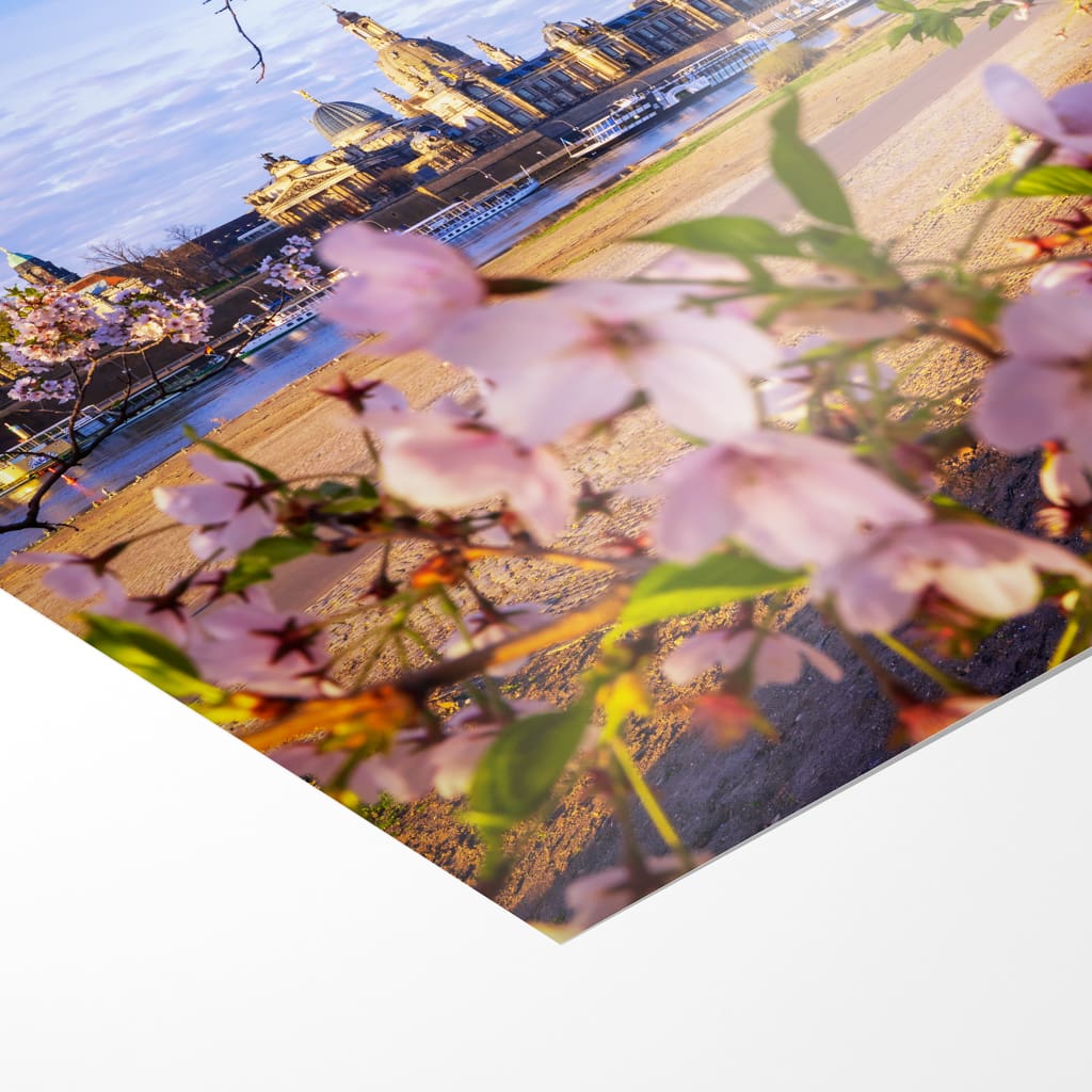 Fotoabzug (01624) Skyline im Frühling – Bild 3