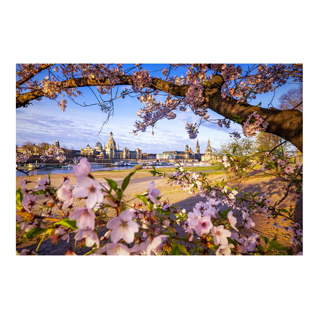 Fotoabzug (01624) Skyline im Frühling