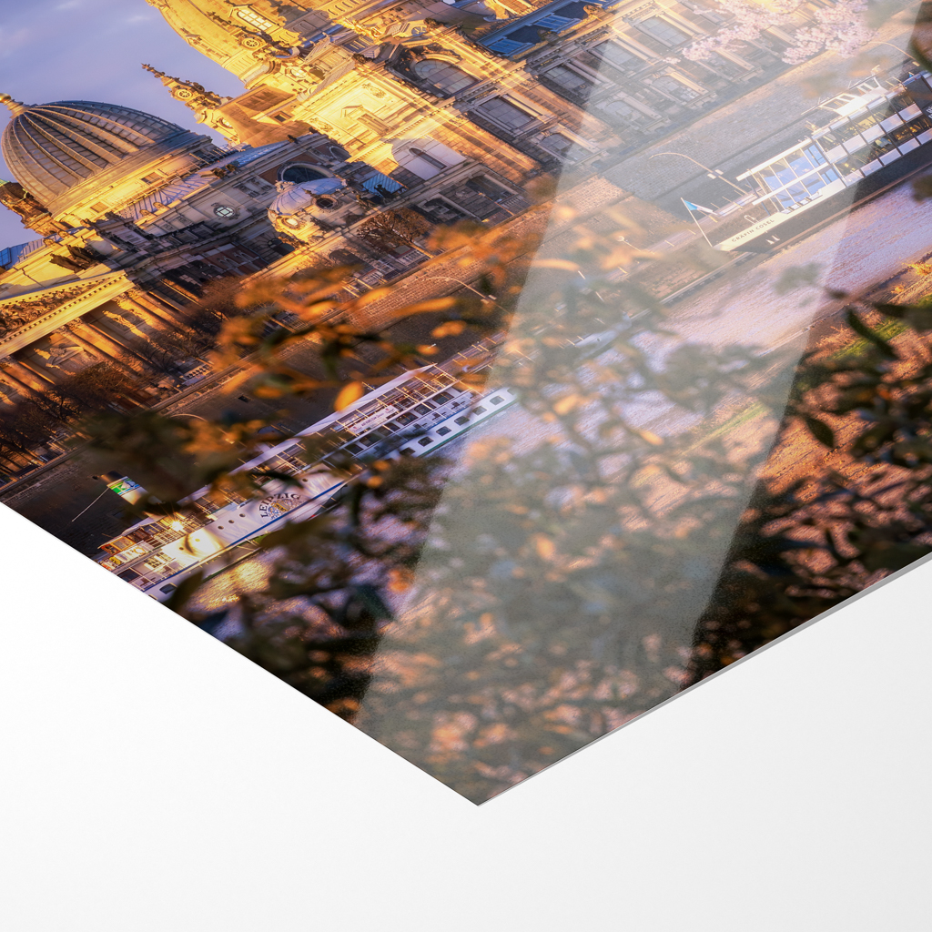 Fotoabzug (01630) Frauenkirche mit Kirschbaum – Bild 2