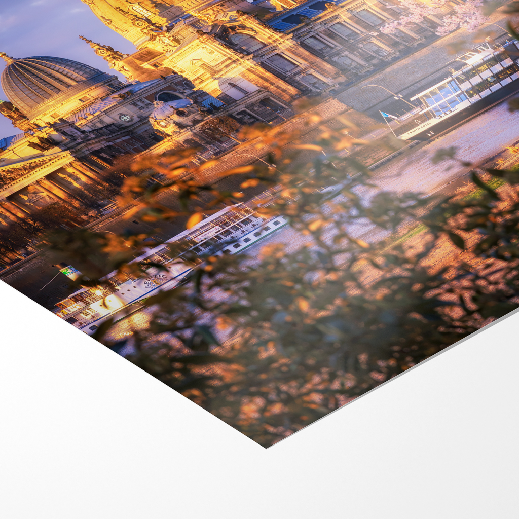 Fotoabzug (01630) Frauenkirche mit Kirschbaum – Bild 3