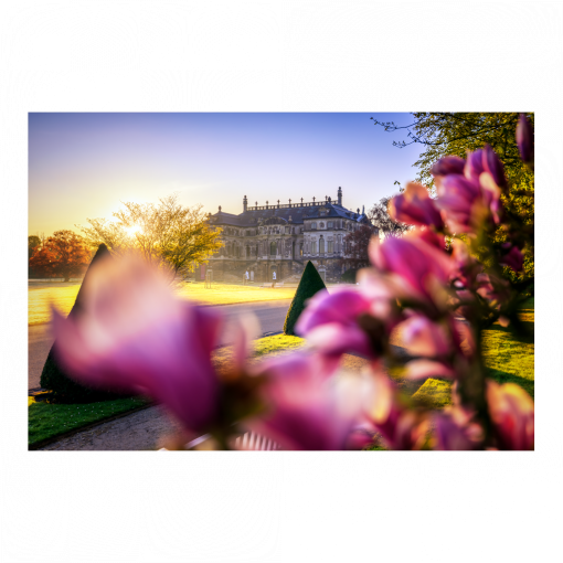 Poster (01636) Magnolie am Palais