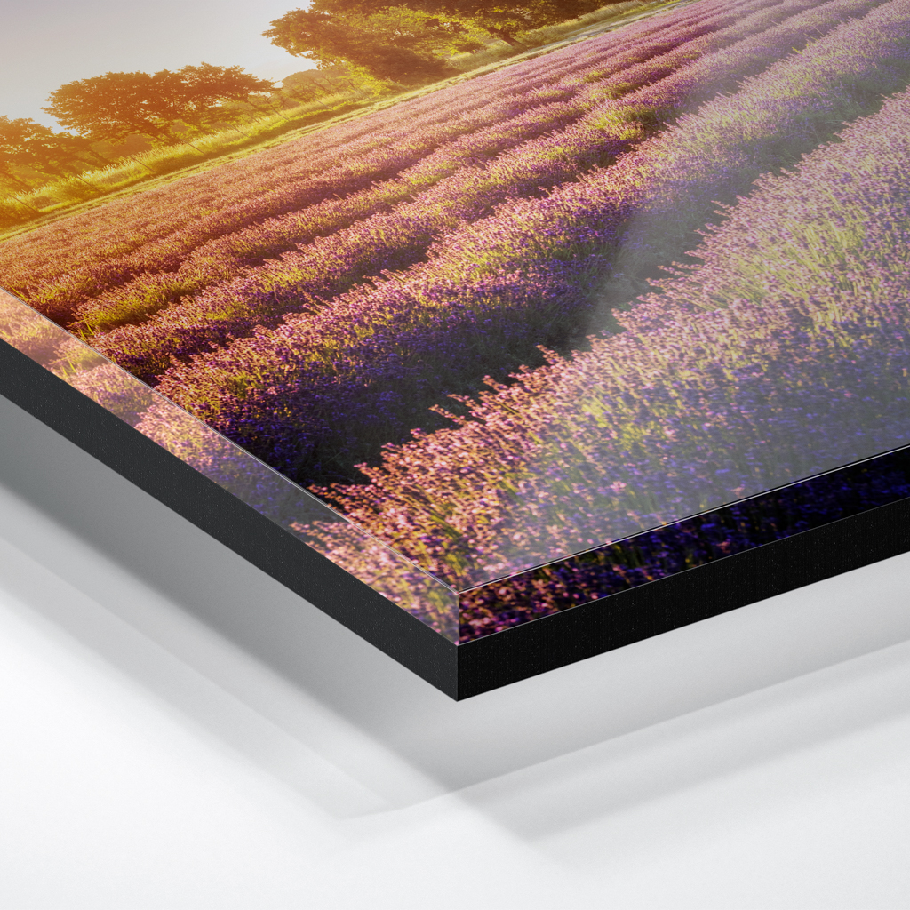 Acryl Board (01698) Lausitzer Lavendel – Bild 3