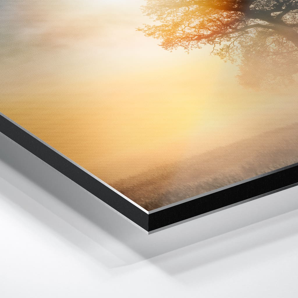 Alu-Dibond (01485) Baum mit Schrammsteinen – Bild 5