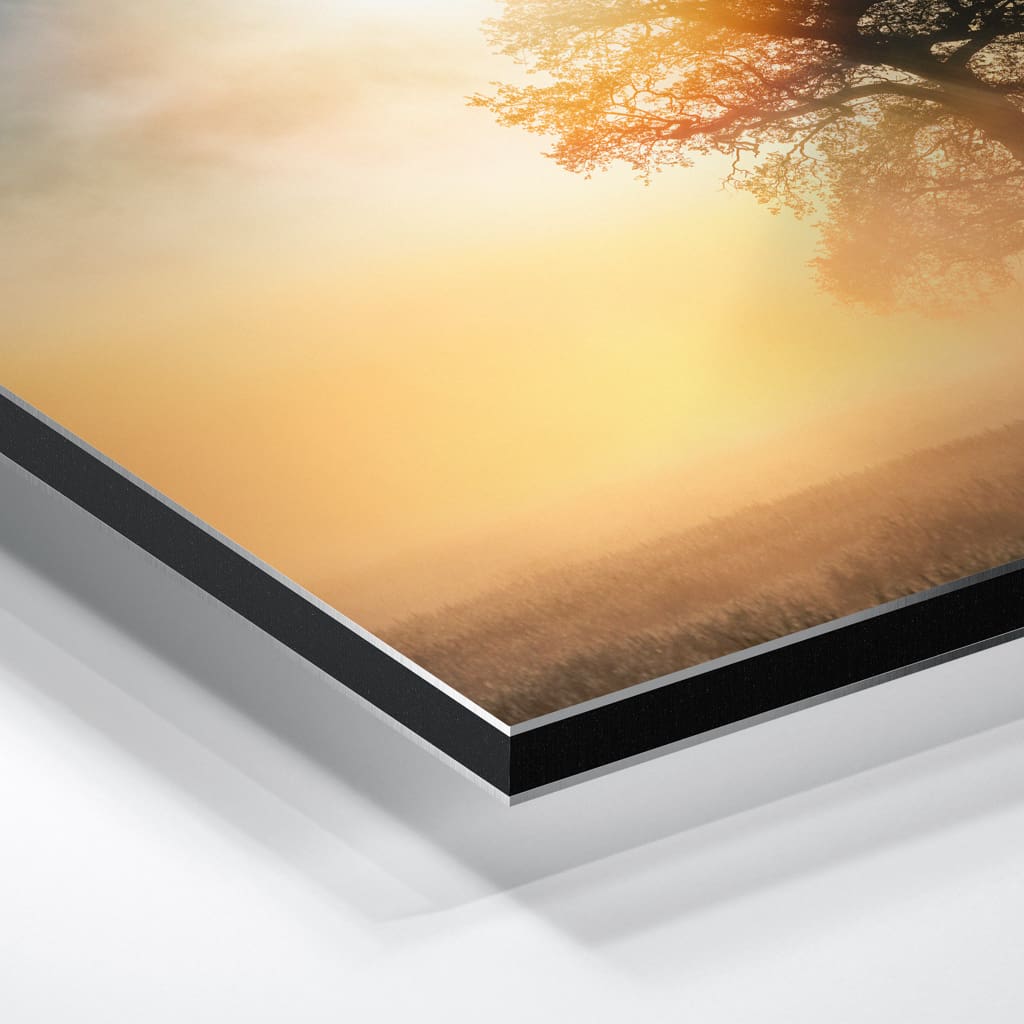 Alu-Dibond (01485) Baum mit Schrammsteinen – Bild 6