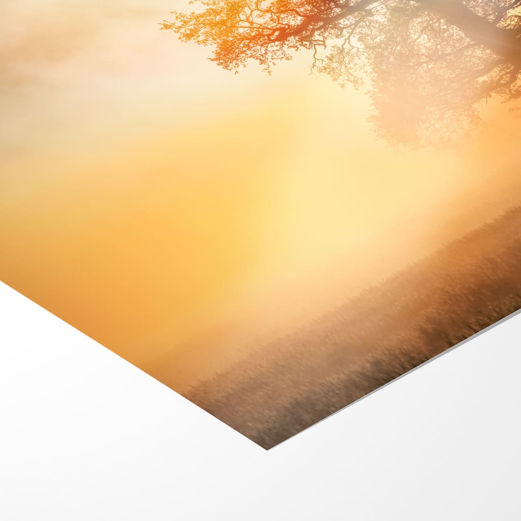 Poster (01485) Baum mit Schrammsteinen – Bild 3