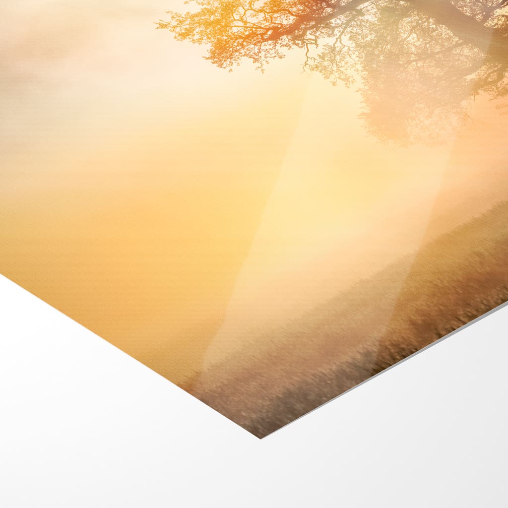 Poster (01485) Baum mit Schrammsteinen – Bild 5